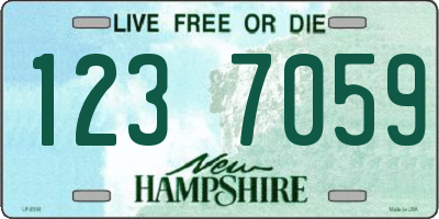 NH license plate 1237059