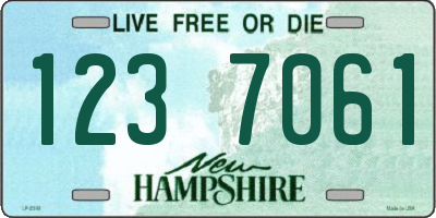 NH license plate 1237061