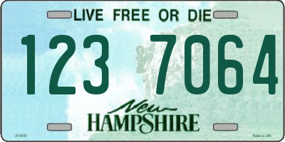 NH license plate 1237064