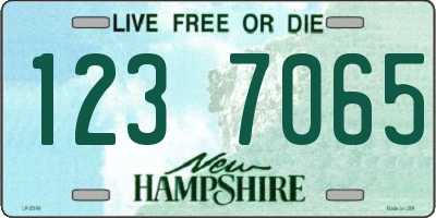 NH license plate 1237065
