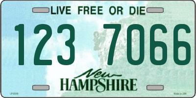 NH license plate 1237066