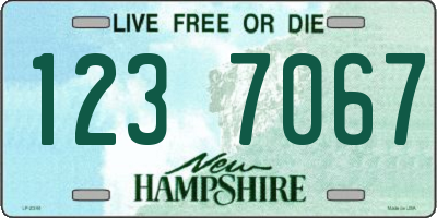 NH license plate 1237067