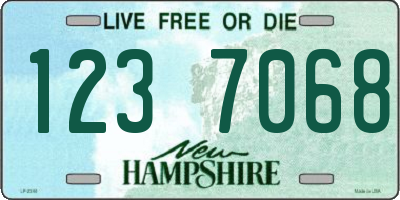 NH license plate 1237068