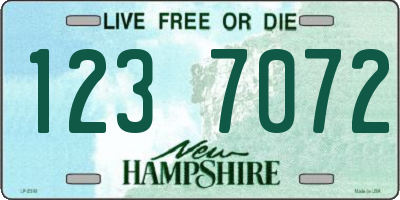 NH license plate 1237072