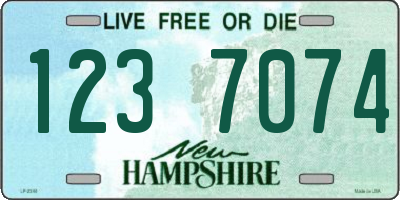 NH license plate 1237074