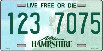 NH license plate 1237075