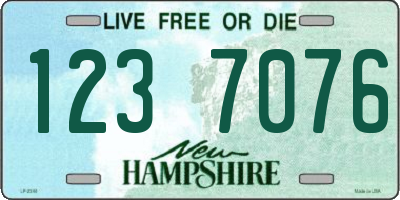 NH license plate 1237076