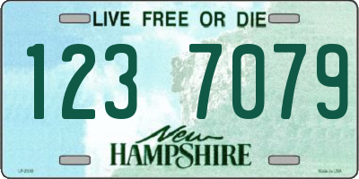NH license plate 1237079