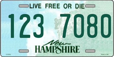 NH license plate 1237080