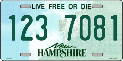 NH license plate 1237081