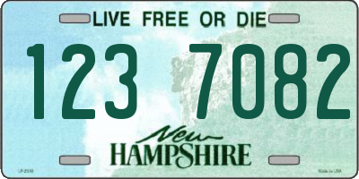 NH license plate 1237082