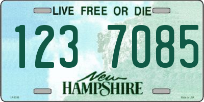 NH license plate 1237085
