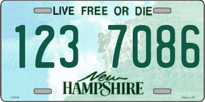 NH license plate 1237086