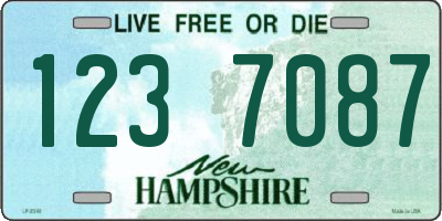 NH license plate 1237087