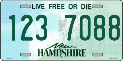 NH license plate 1237088