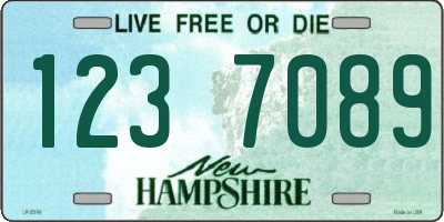 NH license plate 1237089