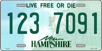 NH license plate 1237091