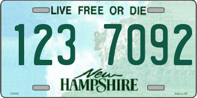 NH license plate 1237092