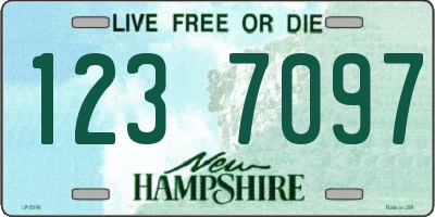 NH license plate 1237097