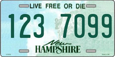 NH license plate 1237099
