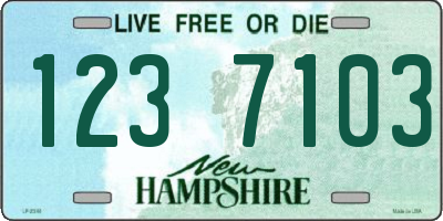 NH license plate 1237103