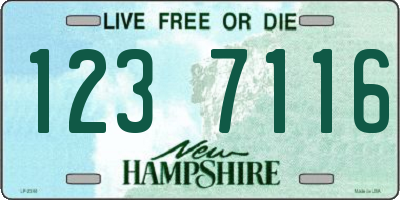 NH license plate 1237116