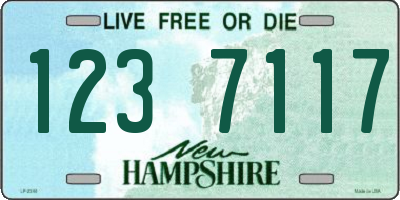 NH license plate 1237117