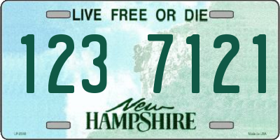 NH license plate 1237121