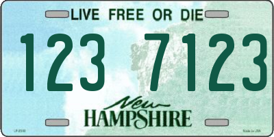 NH license plate 1237123