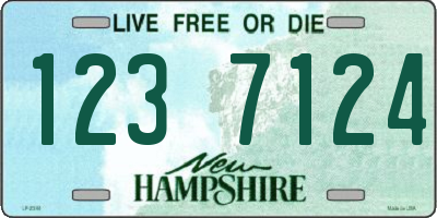 NH license plate 1237124