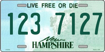 NH license plate 1237127