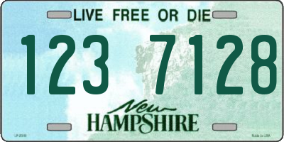 NH license plate 1237128
