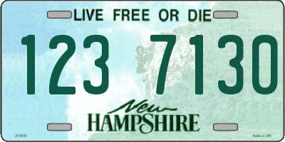 NH license plate 1237130