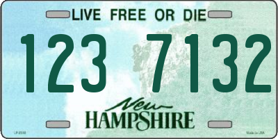 NH license plate 1237132