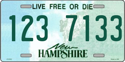 NH license plate 1237133