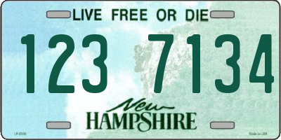 NH license plate 1237134