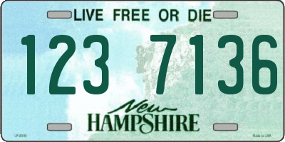 NH license plate 1237136
