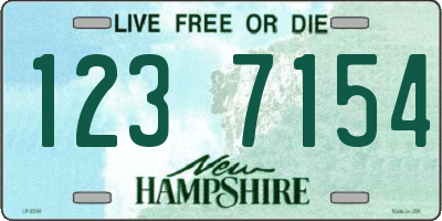 NH license plate 1237154