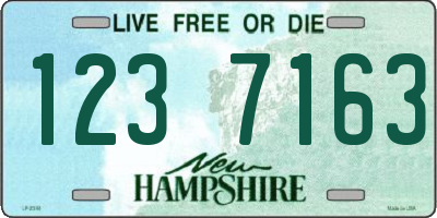 NH license plate 1237163