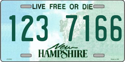 NH license plate 1237166