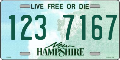 NH license plate 1237167