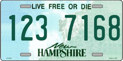 NH license plate 1237168
