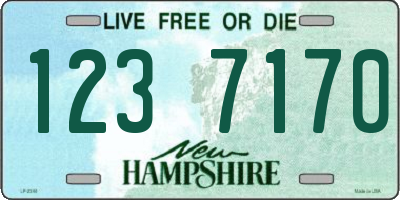 NH license plate 1237170