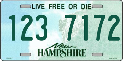 NH license plate 1237172