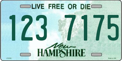 NH license plate 1237175