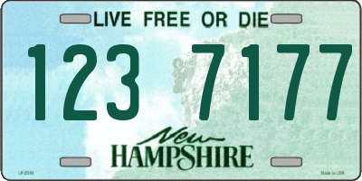 NH license plate 1237177
