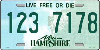 NH license plate 1237178
