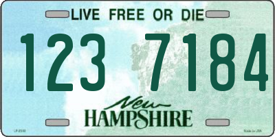 NH license plate 1237184