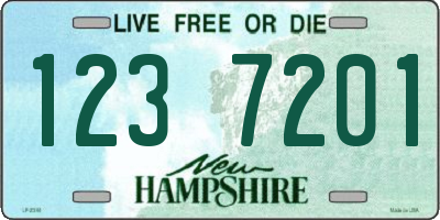 NH license plate 1237201