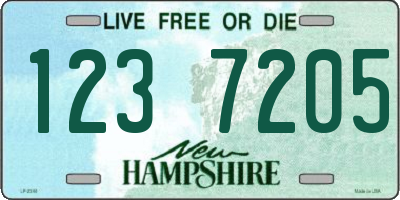 NH license plate 1237205